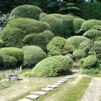 庭園 鹿野山神野寺